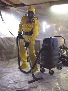 Mold Remediation Specialist Mold Remediation Specialist