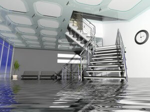 water damage repair in san rafael