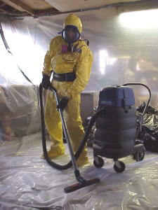 Mold Remediation Specialist
