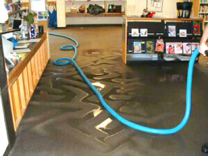 There is one item virtually guaranteed not to survive any kind of water damage either in a residential or a commercial setting: the carpet. Carpet removal can be an extremely delicate operation under the best of conditions, depending on the state of the carpet, the flooring underneath, the chemicals used in the glue and the ventilation of the property. After smoke, fire or water damage has compromised the chemicals inside the carpet and the empty spaces beneath the floor, there’s an additional level of danger to the residents’ or employees’ health. This makes the operation fraught with much more serious challenges. Under no circumstances should property owners attempt to contract out this job to unqualified workers or attempt to handle the job themselves. The results could be more catastrophic than the original damage. After the carpets have been professionally dried enough to work with, the complex process of disengagement from the tack strip begins. The underlying carpet pad must be destroyed and disposed of without any damage to adjacent areas or allowing the remaining moisture to spread any further.