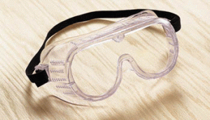 Goggles for Mold Removal