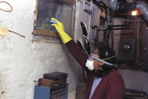 Natural Methods of Mold and Mildew Removal