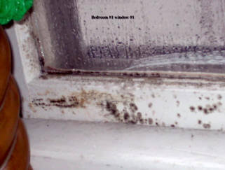 window-mold-2