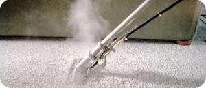 steam clean carpets