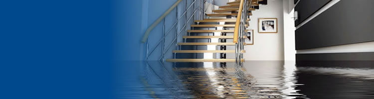 Water Damage Restoration Fort Worth Mold Removal