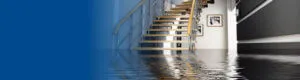 water damage repair Services
