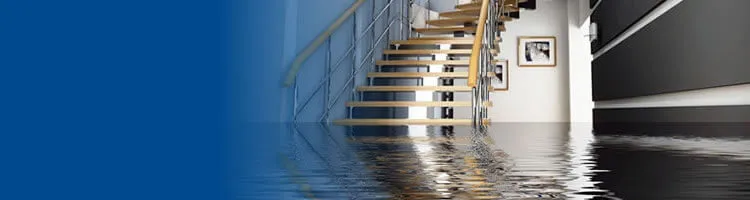 water damage repair Services